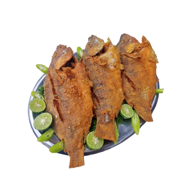 سمك بلطي